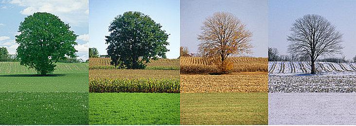 XGP十月上旬新增游戏阵容 《极限竞速8》等